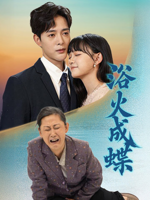 浴火成蝶(51集)  浴火成蝶(51集) 看过的人都说好