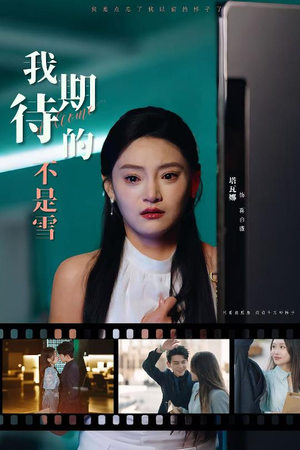 我期待的不是雪（30集）红果短剧看全集