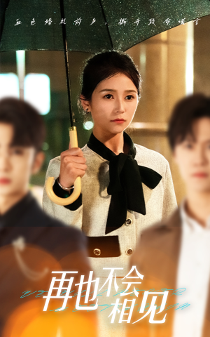 再也不会相见（33集）百度网盘资源