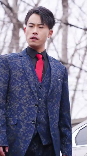 又是一年断魂夜（50集）独家资源免费看