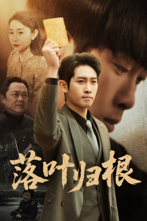 落叶归根(35集)  落叶归根(35集) 流畅播放免费看