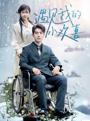 遇见我的小欢喜(70集)  遇见我的小欢喜(70集) 短剧精彩绝伦