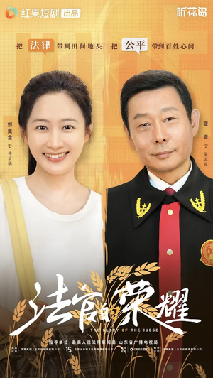 法官的荣耀（5集全）好看短剧看不停