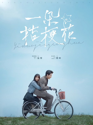 一朵桔梗花（71集） 全集下载