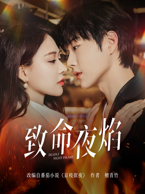 致命夜焰(80集) 致命夜焰(80集)精彩短剧下载
