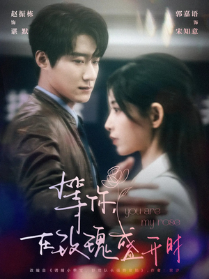 等你在玫瑰盛开时（80集） 更新时间