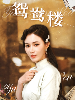 鸳鸯楼(60集)  鸳鸯楼(60集) 全集都在这里了