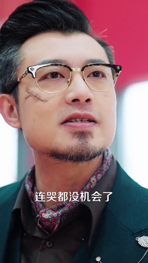 别时容易见时难(30集)  别时容易见时难(30集) 全集下载