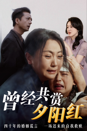 曾经共赏夕阳红 免费在线看全集