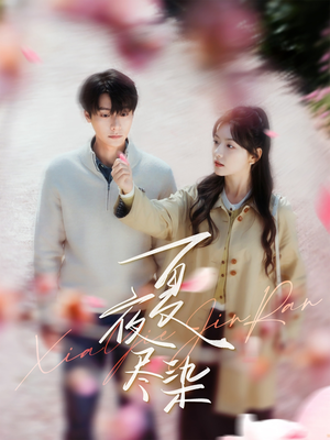 夏夜尽染(80集)  夏夜尽染(80集) 短剧看全集