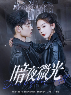 暗夜微光(86集) 暗夜微光(86集)短剧全集完整