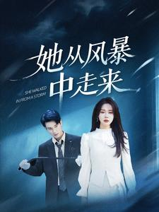 她从风暴中走来(60集) 她从风暴中走来(60集)全集免费看短剧