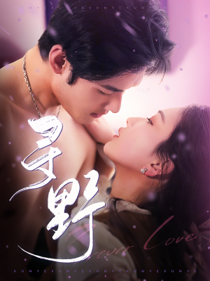 寻野（100集）新短剧推荐