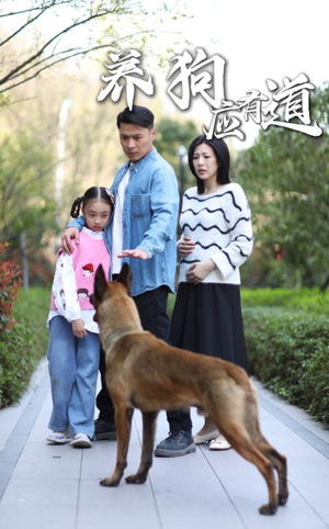 养狗应有道(60集) 养狗应有道(60集)超火短剧抢先看