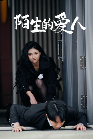 陌生的爱人(60集) 陌生的爱人(60集)第二季