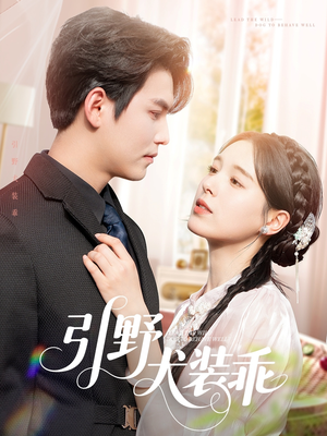 引野犬装乖（61集）一起追生活短剧