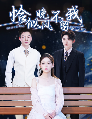 弃他如风（51集）短剧精彩片段