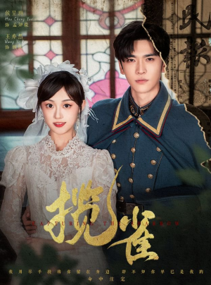 揽雀(61集) 揽雀(61集)新短剧推荐