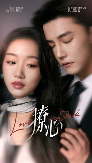 暗撩(80集) 暗撩(80集)免费观看全集