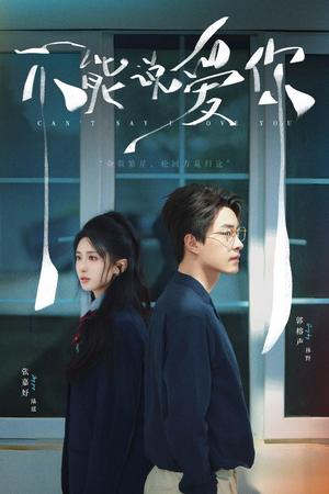 不能说爱你（64集）短剧精彩绝伦