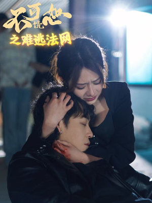 不可饶恕之难逃法网(20集) 不可饶恕之难逃法网(20集)热播短剧追不停