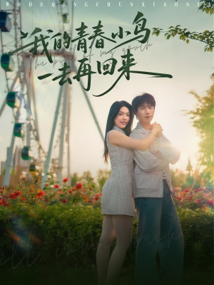 我的青春小鸟一去再回来(95集) 我的青春小鸟一去再回来(95集)最近很火的短剧