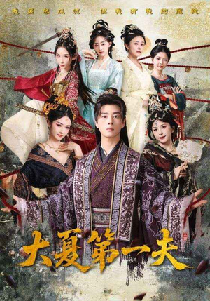 大夏第一夫(90集) 大夏第一夫(90集)贝贝短剧分享