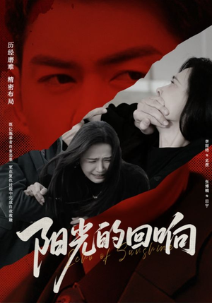 阳光的回响（50集）全季一次看完