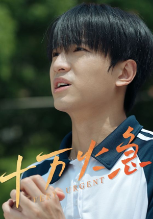 十万火急(30集) 十万火急(30集)在哪个平台看好