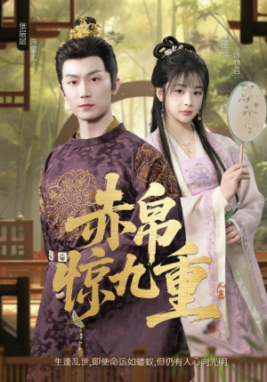 赤帛惊九重（79集）全剧免费观看