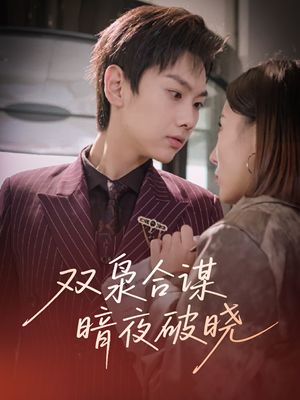 双枭合谋暗夜破晓(30集) 双枭合谋暗夜破晓(30集)火爆短剧推荐