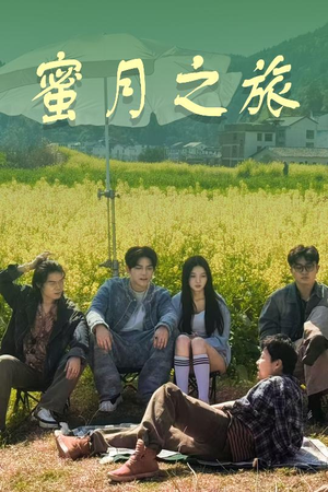 蜜月之旅(35集) 蜜月之旅(35集)好看的短剧