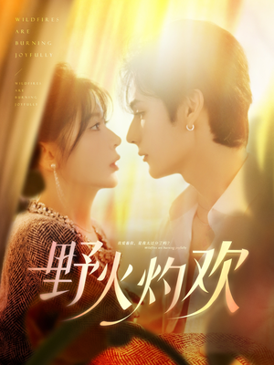 野火灼欢(61集) 野火灼欢(61集)1-102集