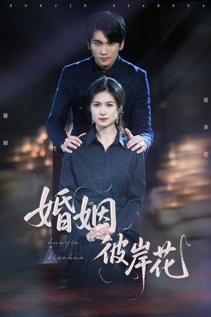 婚姻彼岸花(63集) 婚姻彼岸花(63集)每日短剧分享