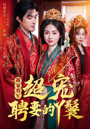 我家将军超宠聘妻的丫鬟(64集) 我家将军超宠聘妻的丫鬟(64集)观看软件