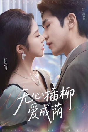 无心插柳爱成荫(80集) 无心插柳爱成荫(80集)80到100集