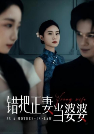 错把正妻当婆婆(46集) 错把正妻当婆婆(46集)评价怎么样