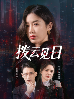 拨云见日(61集) 拨云见日(61集)全季一次看完