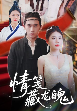 情笺藏龙魄（65集）全集我都看完了
