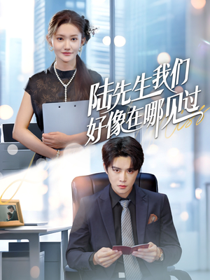 陆先生我们好像在哪见过（70集）短剧完整版免费