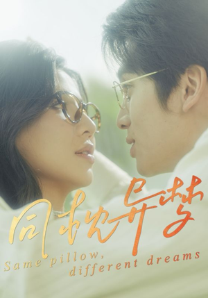 同枕异梦（50集）剧好看短剧推荐