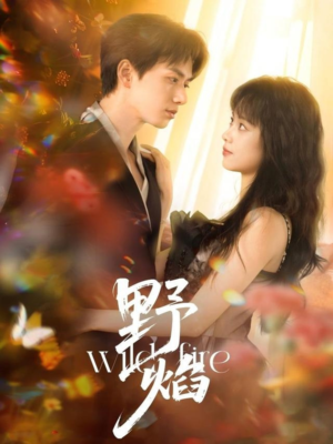 野焰(60集) 野焰(60集)最热短剧推荐