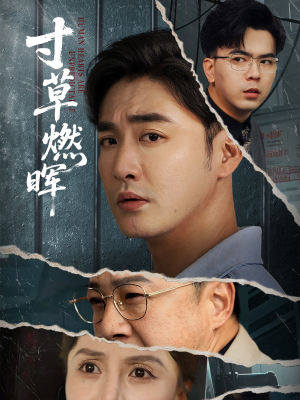 寸草燃晖(70集) 寸草燃晖(70集)全集一次看完