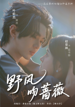 野风吻蔷薇(78集) 野风吻蔷薇(78集)短剧也太好看了