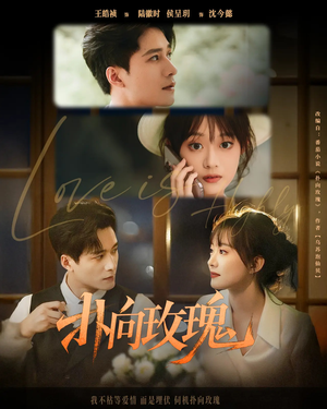 扑向玫瑰(77集) 扑向玫瑰(77集)原创精彩短剧