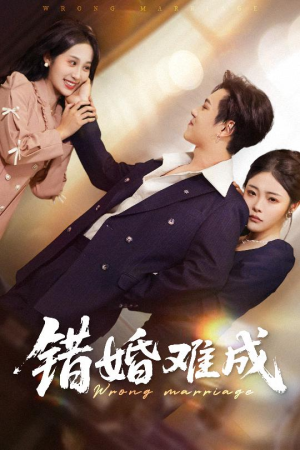 错婚难成(45集) 错婚难成(45集)最火爆的短剧