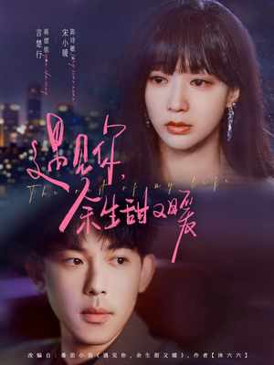 遇见你余生甜又暖(70集) 遇见你余生甜又暖(70集)海量资源免费看