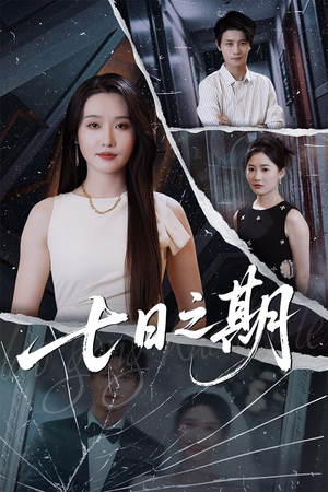 七日之期(90集) 七日之期(90集)爆火短剧抢先看
