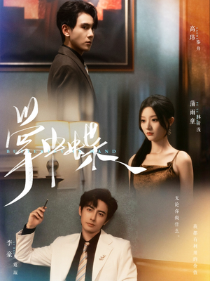 掌中蝶(84集) 掌中蝶(84集)每日短剧追不停