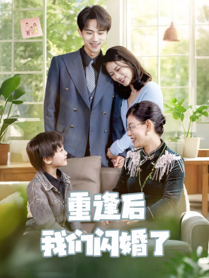 重逢后我们闪婚了(35集) 重逢后我们闪婚了(35集)完整版免费观看